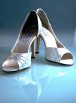 Wedding Shoes 2.jpg